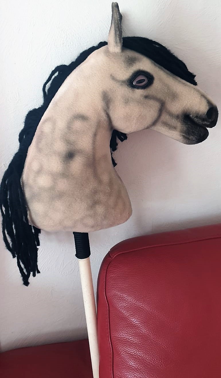 Buy Hobby Horse BLACK With a Spot A4 Online in India 