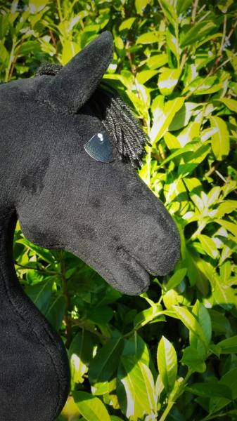 Rappe "Dark Shadow" Größe (A4+) Lieferung ohne Stock mit 100% Füllung Unikat - gebraucht