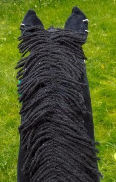 Black horse with wide blaze size (A4+ to A3) without stick  with many accessories  with 100% filling Unique piece - used